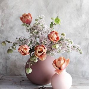 Meet your Posher, Junia